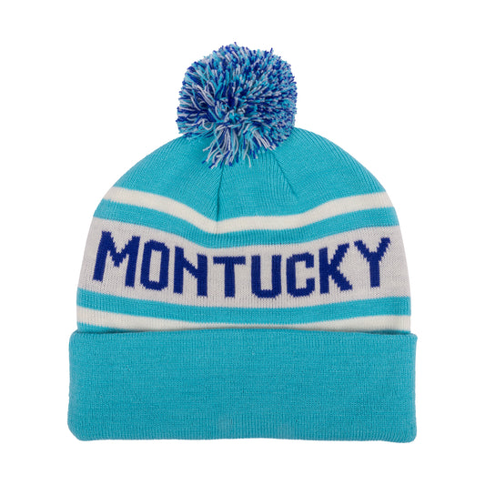 Ice Blue Pom Beanie